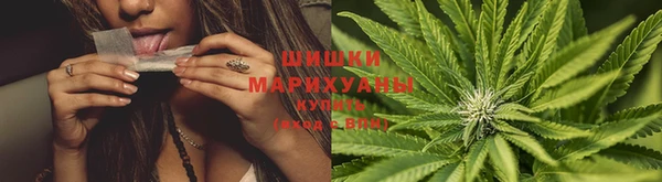 a pvp Белокуриха