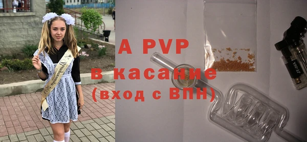 a pvp Белокуриха