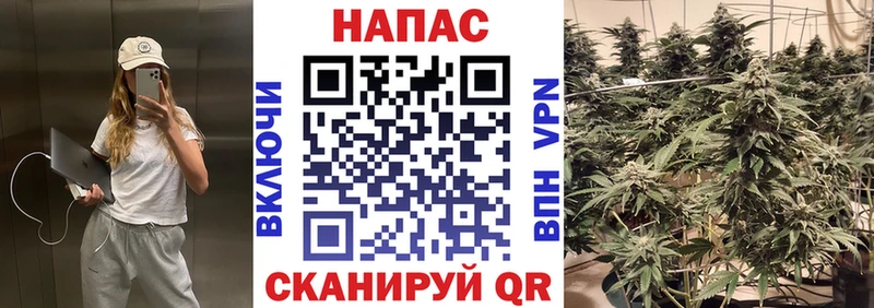 Бошки марихуана SATIVA & INDICA  как найти закладки  Балаково 